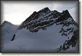 IMG_3790