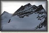 IMG_3791