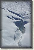 DSC06821
