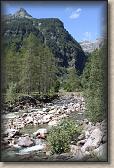 IMG_5602