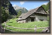IMG_5625