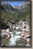 IMG_5636