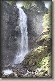 IMG_5650