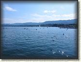 IMG_0959