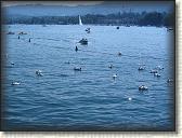 IMG_0960
