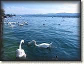 IMG_0962