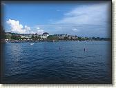 IMG_0990