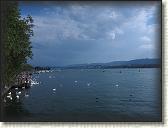 IMG_0991