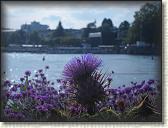 IMG_0992