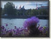 IMG_0995
