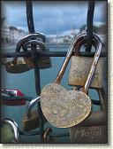 IMG_1221