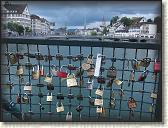 IMG_1225
